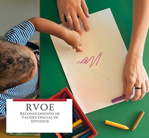 rvoe atencion temprana