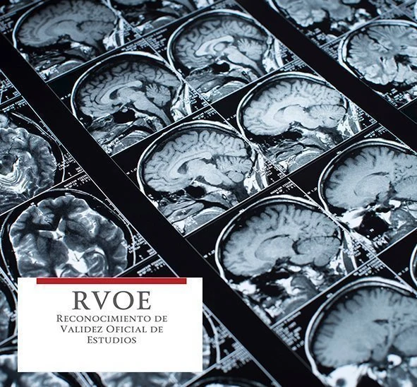 psicologia forense rvoe