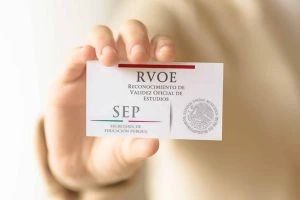 reconociemito rvoe y sepe 300x200 1