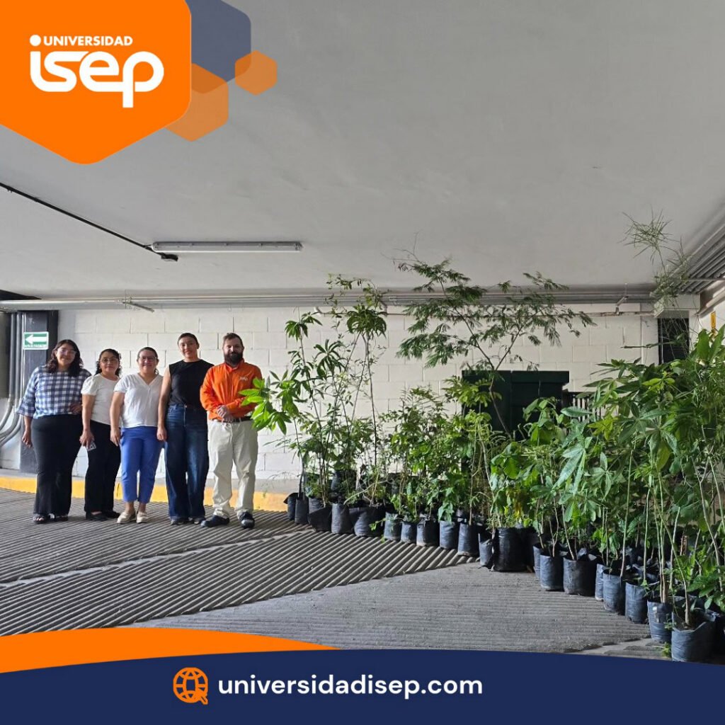 whatsapp image 2024 10 04 at 10.27.24 pm