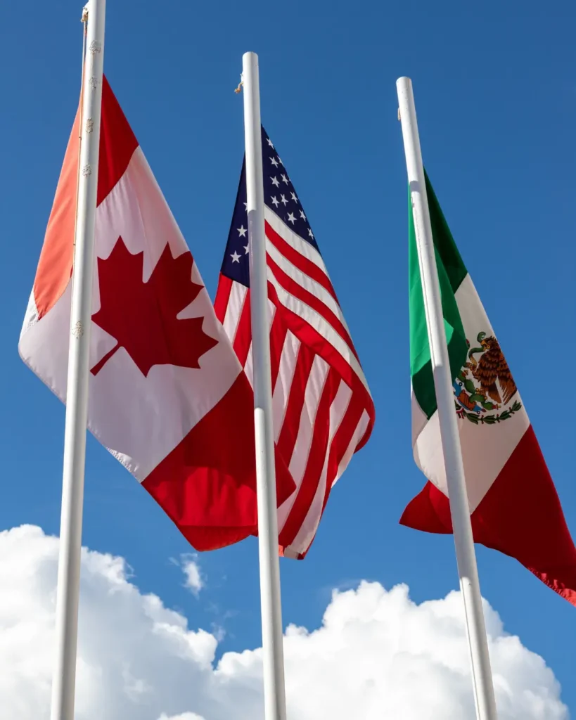 Profesional en Comercio Exterior: Funciones, Habilidades y Salidas Laborales comercio exterior